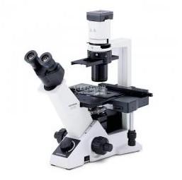 OLYMPUS/奥林巴斯 CKX31倒置显微镜