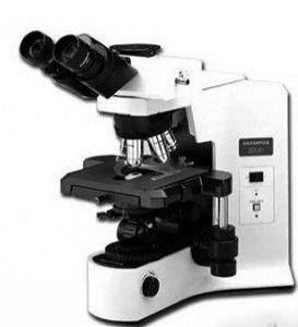 OLYMPUS/奥林巴斯 BX41研究级生物显微镜