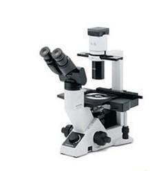 OLYMPUS/奥林巴斯 CKX41倒置显微镜