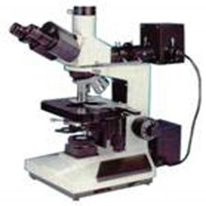 XSP-12（BM12）透反射显微镜