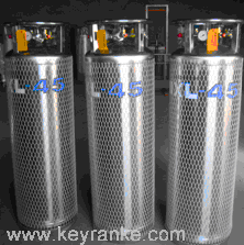 Taylor-Wharton泰莱华顿 XL系列液氮罐DPL452-180-1.38（原为XL-45）