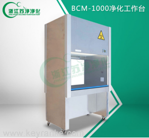BCM-1000净化工作台