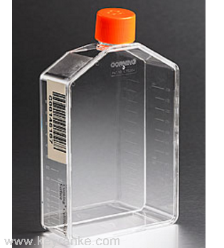 Corning® 235cm2扩展生长面积细胞培养瓶